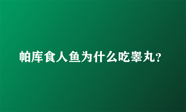 帕库食人鱼为什么吃睾丸？
