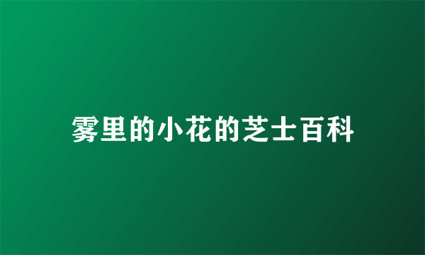 雾里的小花的芝士百科
