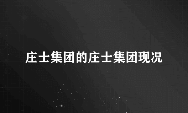 庄士集团的庄士集团现况