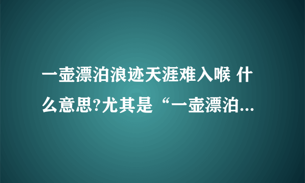 一壶漂泊浪迹天涯难入喉 什么意思?尤其是“一壶漂泊”这四个字，是什么意思？
