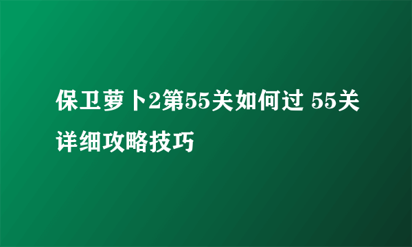 保卫萝卜2第55关如何过 55关详细攻略技巧