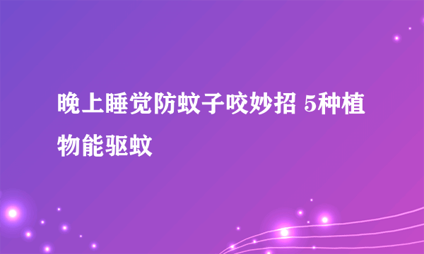晚上睡觉防蚊子咬妙招 5种植物能驱蚊