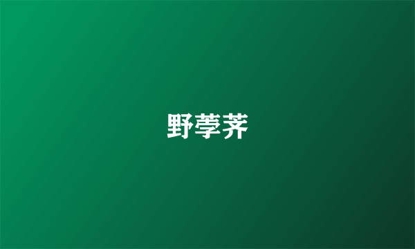野荸荠