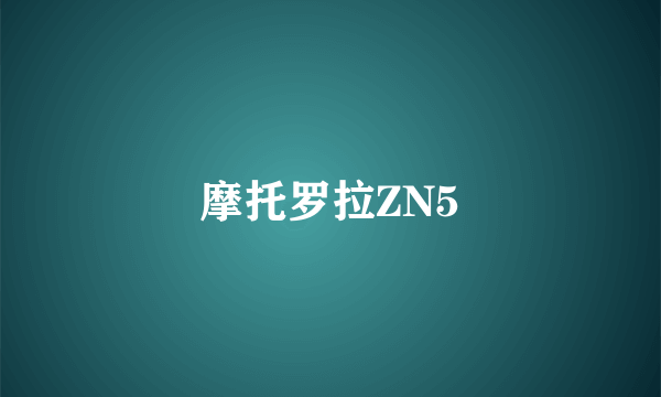 摩托罗拉ZN5