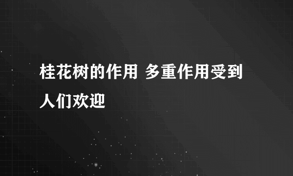 桂花树的作用 多重作用受到人们欢迎