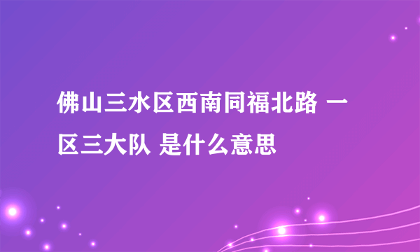 佛山三水区西南同福北路 一区三大队 是什么意思