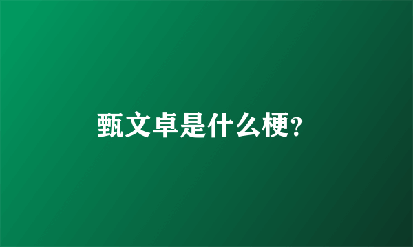 甄文卓是什么梗？
