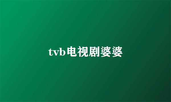 tvb电视剧婆婆