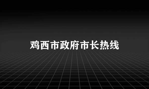 鸡西市政府市长热线
