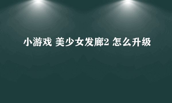 小游戏 美少女发廊2 怎么升级