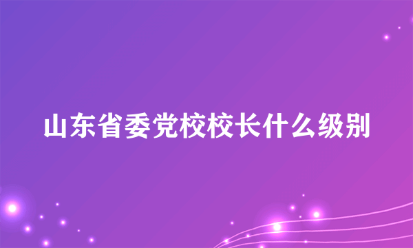 山东省委党校校长什么级别