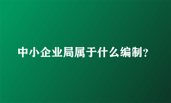 中小企业局属于什么编制？