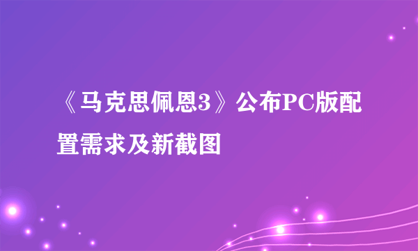 《马克思佩恩3》公布PC版配置需求及新截图