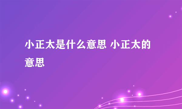 小正太是什么意思 小正太的意思