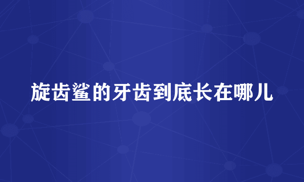 旋齿鲨的牙齿到底长在哪儿