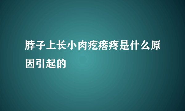 脖子上长小肉疙瘩疼是什么原因引起的