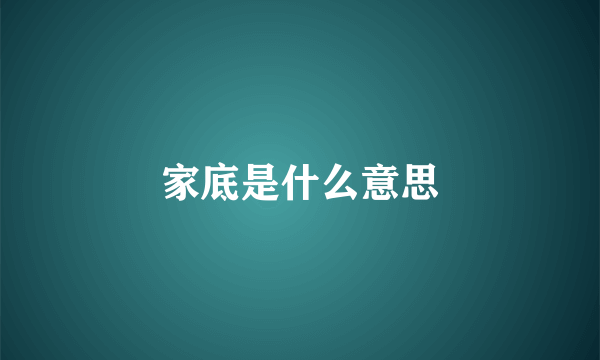家底是什么意思