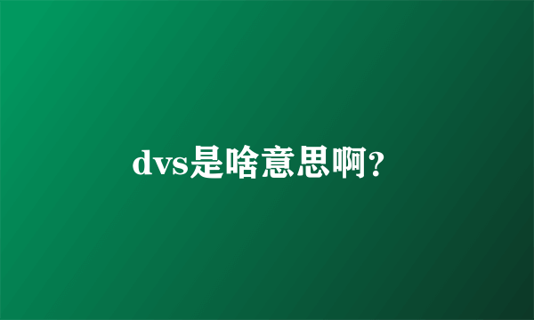 dvs是啥意思啊？
