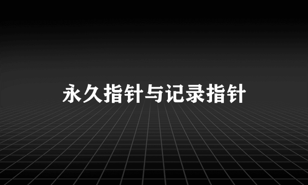 永久指针与记录指针