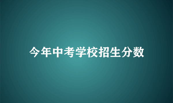 今年中考学校招生分数
