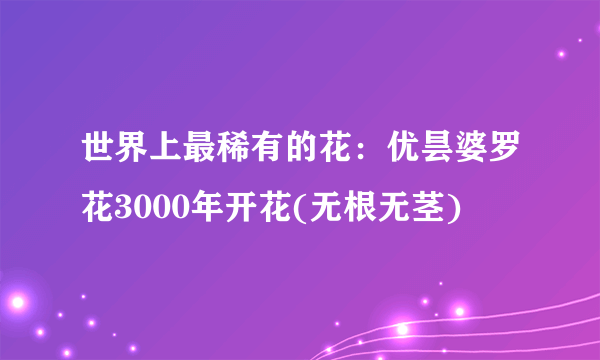 世界上最稀有的花：优昙婆罗花3000年开花(无根无茎)