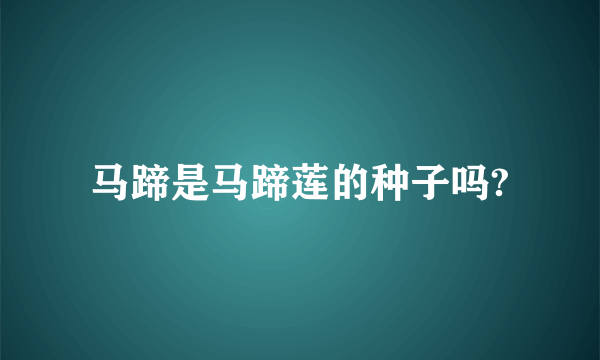 马蹄是马蹄莲的种子吗?