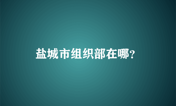 盐城市组织部在哪？