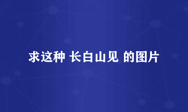 求这种 长白山见 的图片