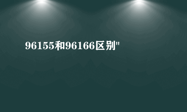 96155和96166区别