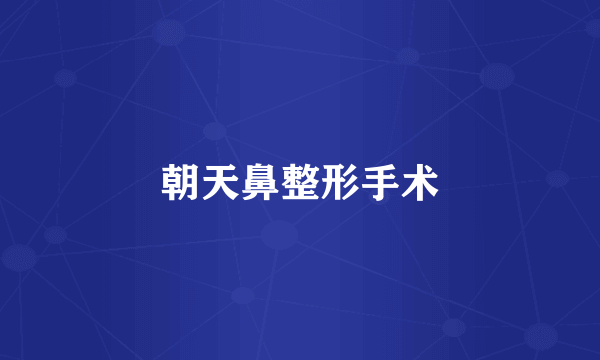 朝天鼻整形手术