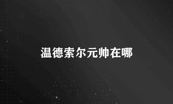 温德索尔元帅在哪