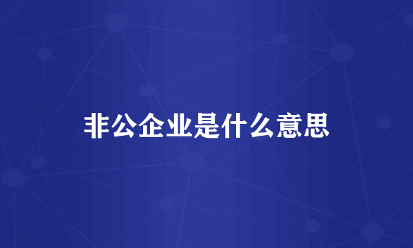 非公企业是什么意思