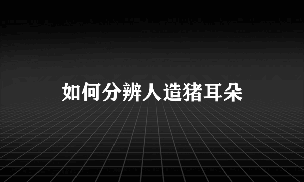 如何分辨人造猪耳朵