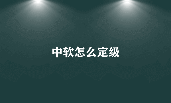 中软怎么定级
