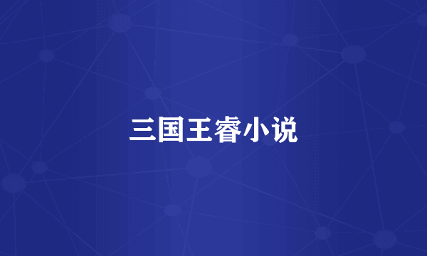 三国王睿小说