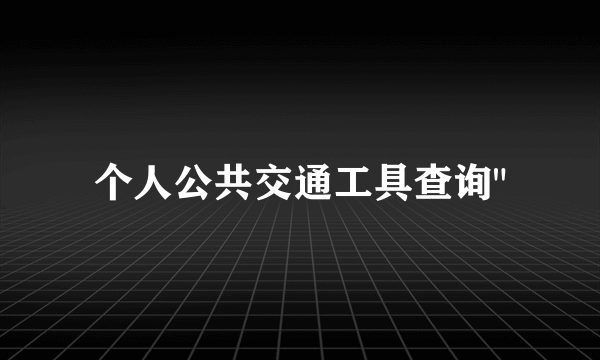 个人公共交通工具查询