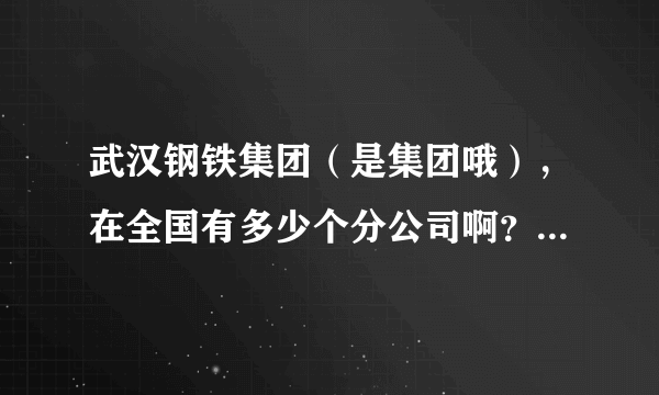 武汉钢铁集团（是集团哦），在全国有多少个分公司啊？在什么地区啊