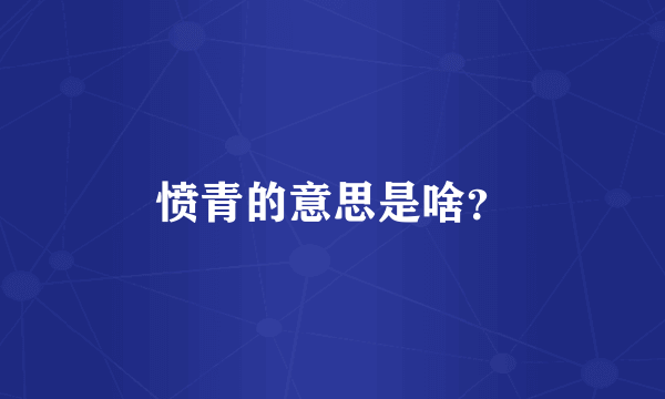 愤青的意思是啥？