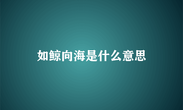 如鲸向海是什么意思