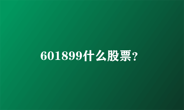 601899什么股票？
