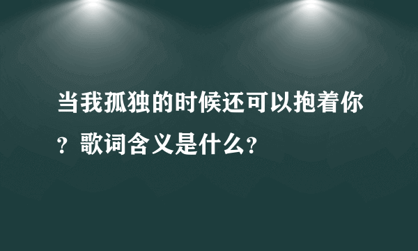 当我孤独的时候还可以抱着你？歌词含义是什么？
