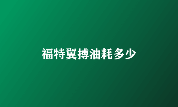 福特翼搏油耗多少