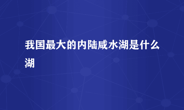 我国最大的内陆咸水湖是什么湖