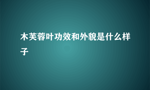 木芙蓉叶功效和外貌是什么样子