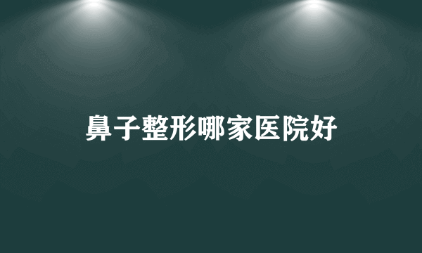鼻子整形哪家医院好