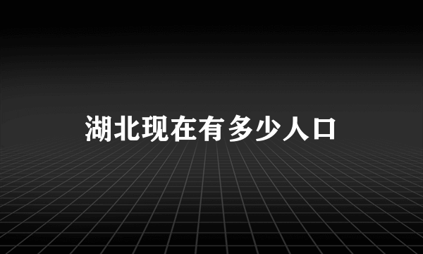 湖北现在有多少人口