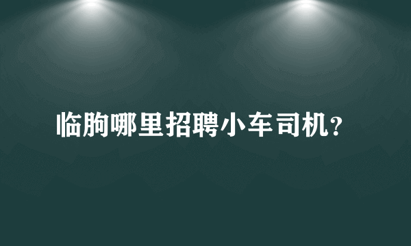 临朐哪里招聘小车司机？