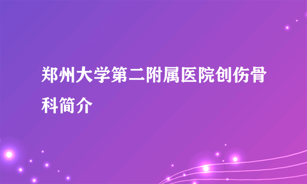 郑州大学第二附属医院创伤骨科简介