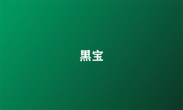 黑宝