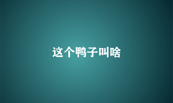 这个鸭子叫啥